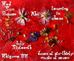 Red Sunflower / Ahn / teaming in chess